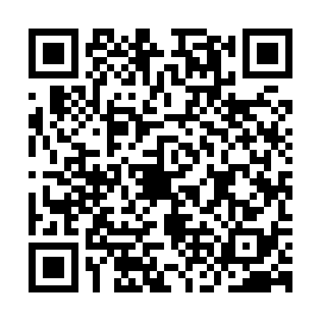 QR code for INI8381