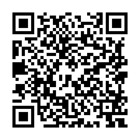 QR code for INI8831