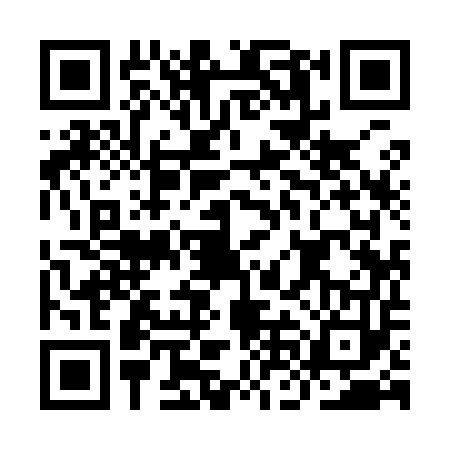 QR code for INI9533