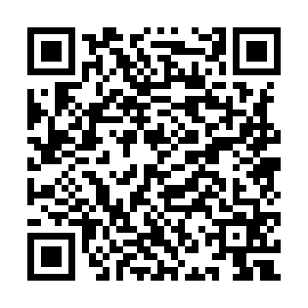 QR code for INP9641