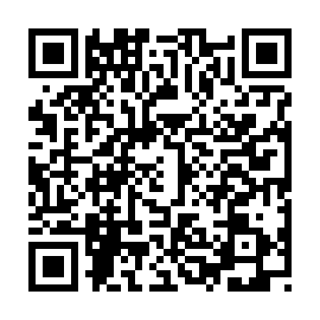 QR code for IPE6311