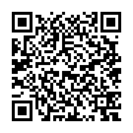 QR code for IPJ0393
