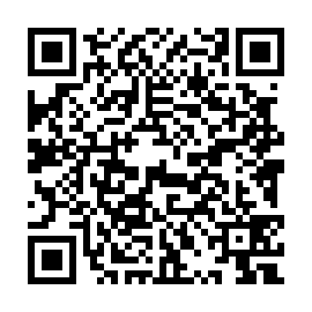 QR code for IPL0399