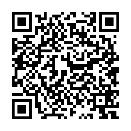 QR code for IQD6691