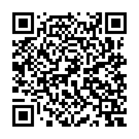 QR code for IR29MS