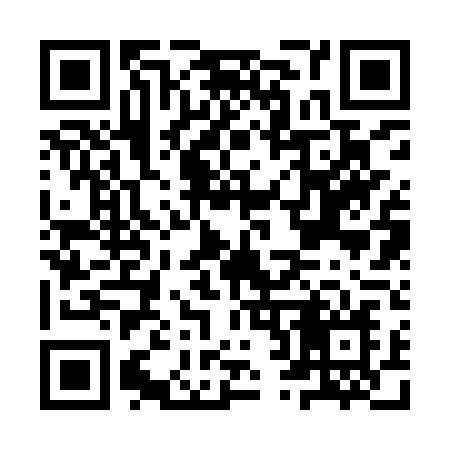 QR code for IR29TN