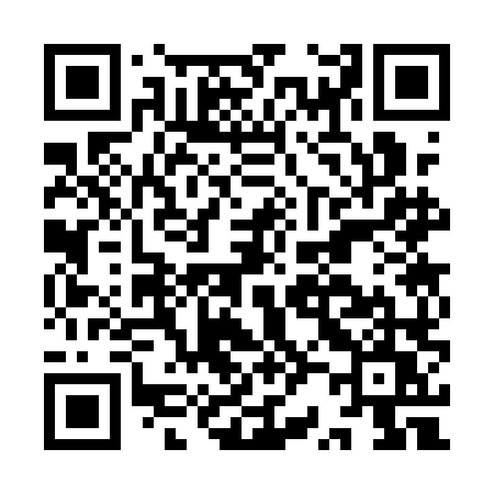 QR code for IR31LU