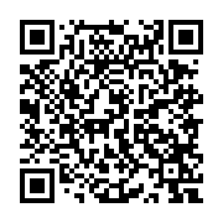 QR code for IR84LO