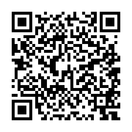 QR code for IRB3881