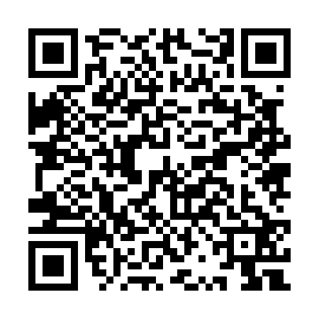 QR code for IRJ0229