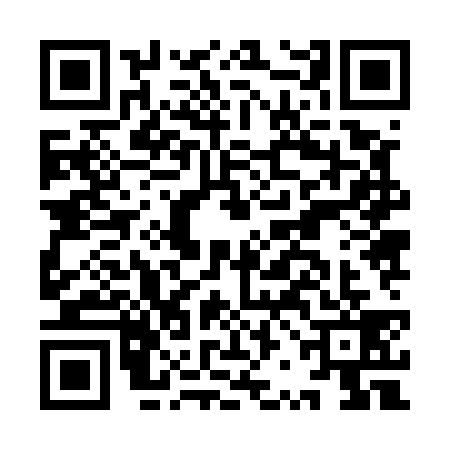 QR code for IRJ5393