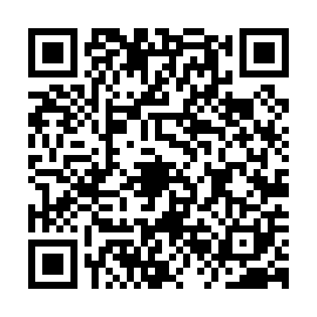 QR code for IRL0017
