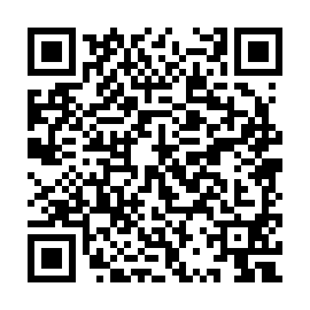 QR code for IRP2900