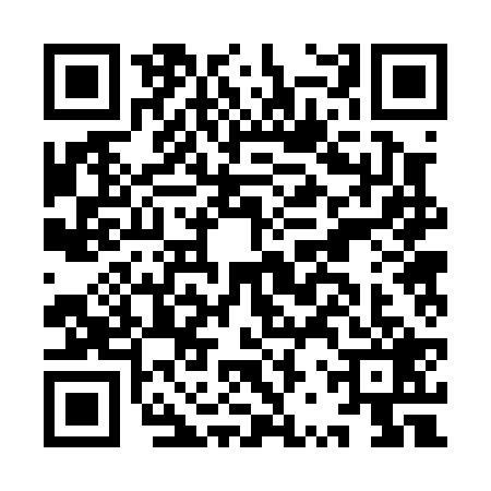 QR code for IRR0295