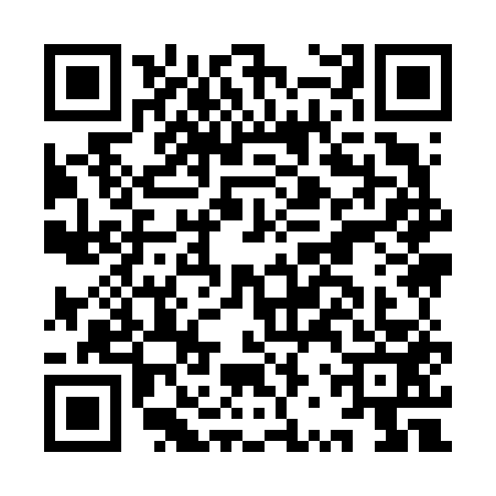 QR code for IRY6533