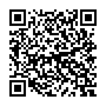 QR code for IS11VN