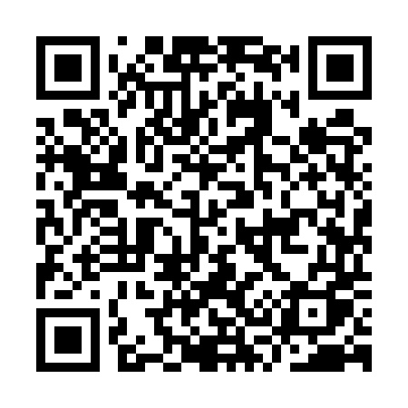 QR code for IS95TQ