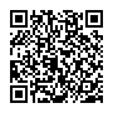 QR code for ISM2386