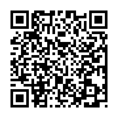 QR code for IUG9338