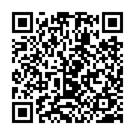 QR code for IV17KT