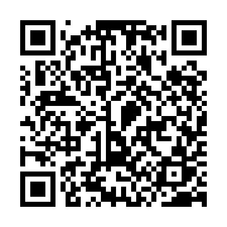 QR code for IV31AR