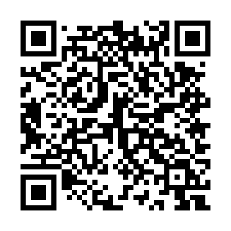 QR code for IV54ZL