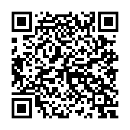 QR code for IV80DG