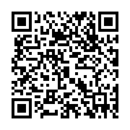 QR code for IV81CD