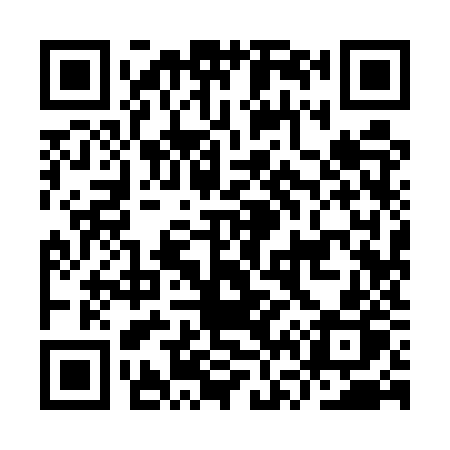 QR code for IV95ZP