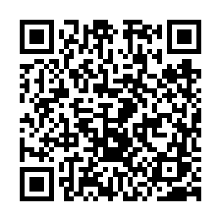QR code for IV96VS