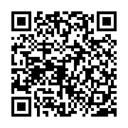 QR code for IVI0591