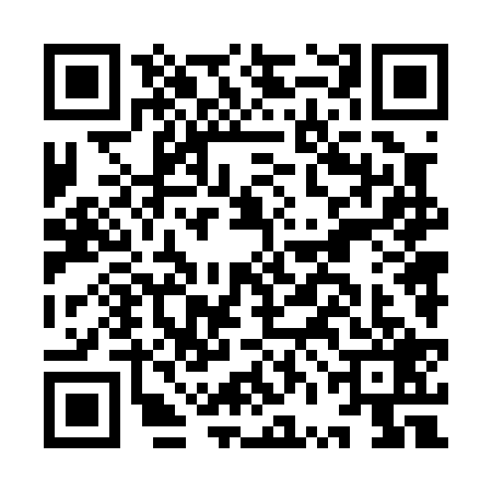 QR code for IVN0294