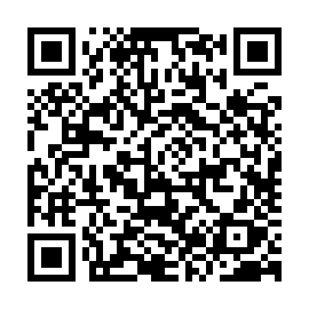 QR code for IZ29ZX