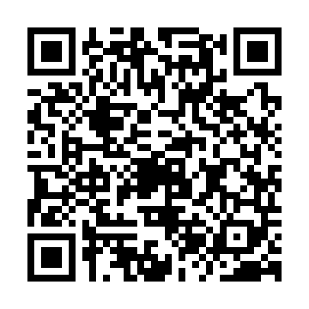 QR code for IZI3493