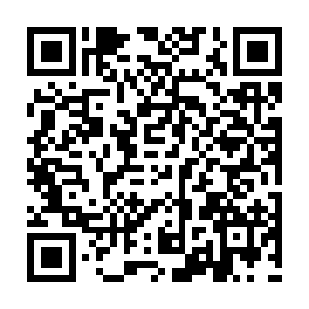 QR code for IZT3928
