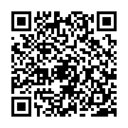 QR code for JAL3742