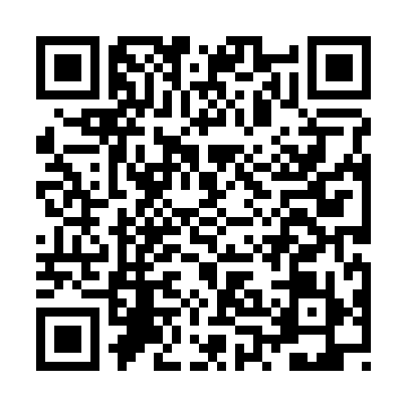 QR code for JPH2994