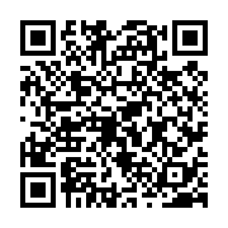 QR code for JVN4383