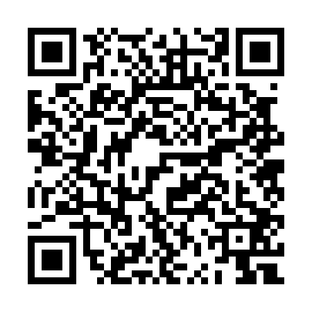 QR code for JVR0029
