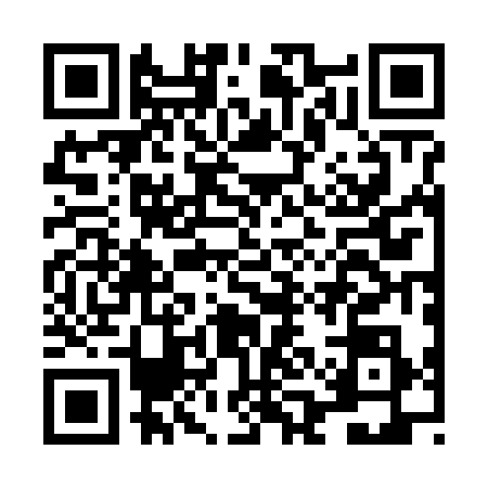QR code for LAB6386