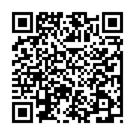 QR code for LAG8151