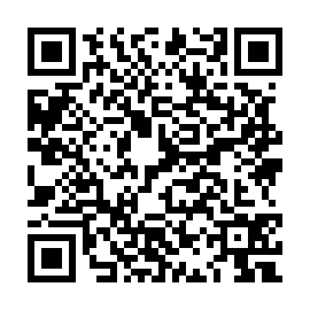 QR code for LAY5346