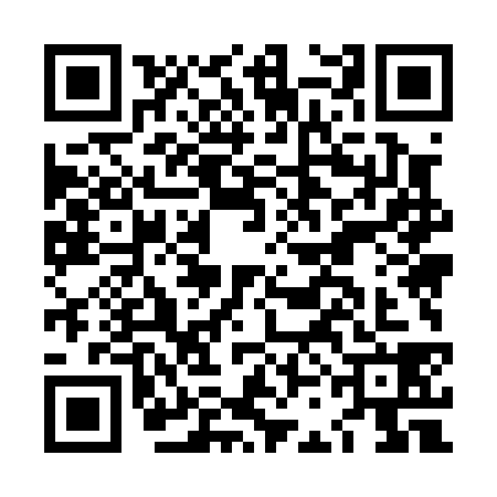 QR code for LCM0385