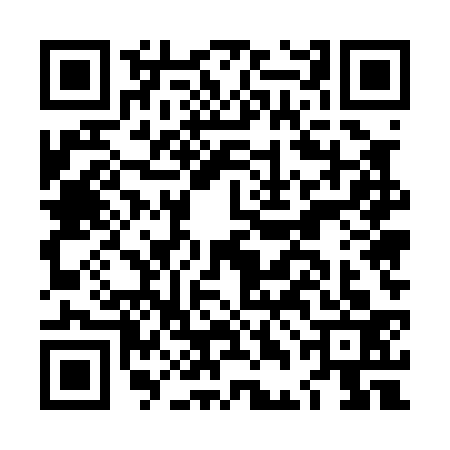 QR code for LDE0338