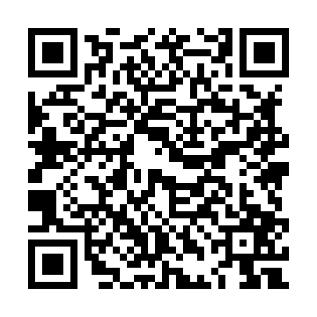 QR code for LDM8078