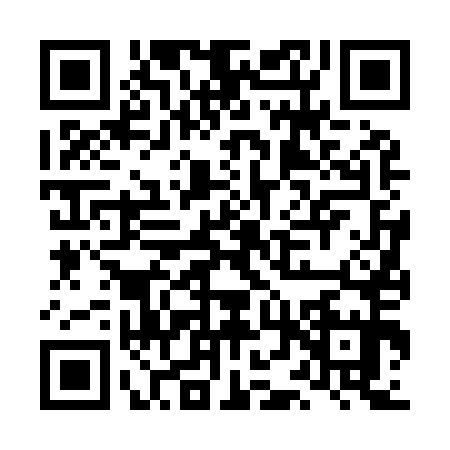 QR code for LDV9550
