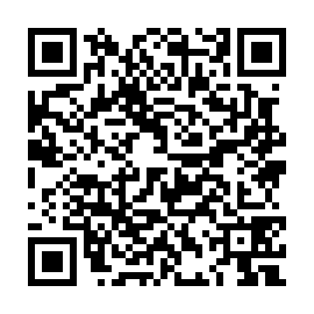 QR code for LDY0785