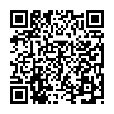 QR code for LDY4991