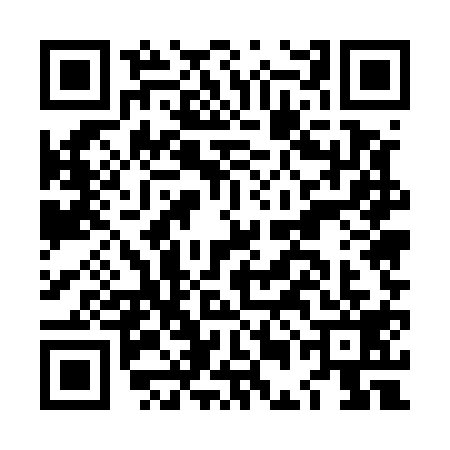 QR code for LEE5197