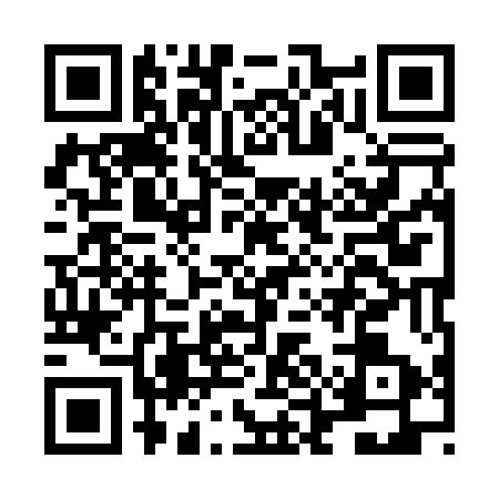QR code for LEI0534